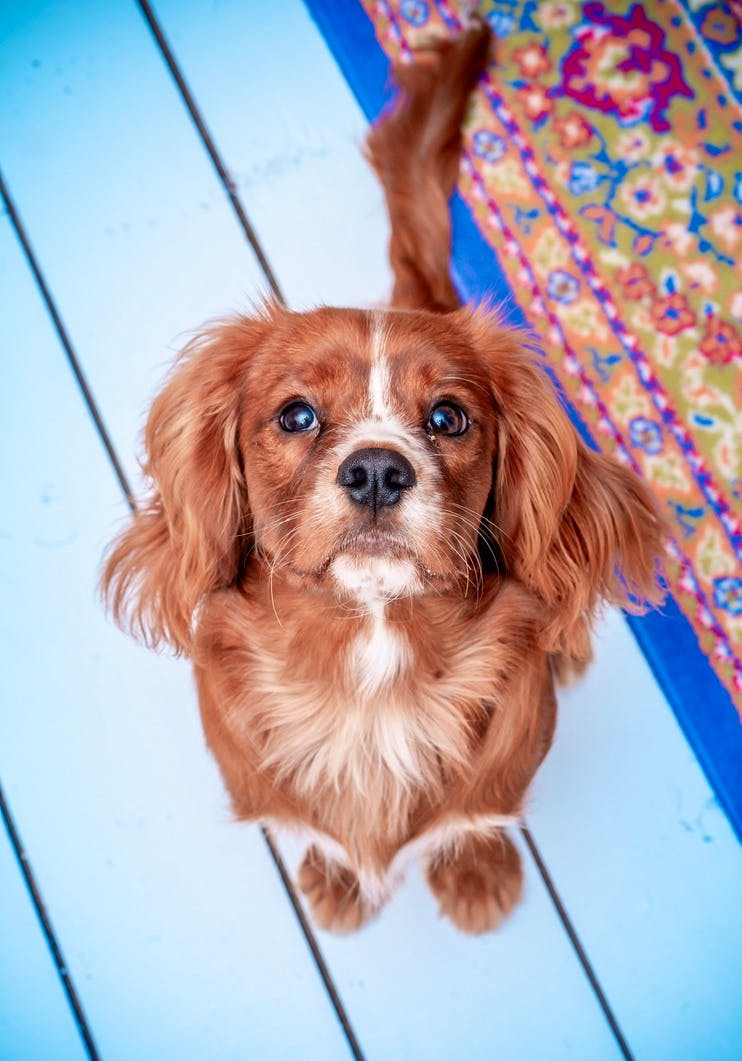 Private room for rent for €100 per month in Rotterdam, Blaak